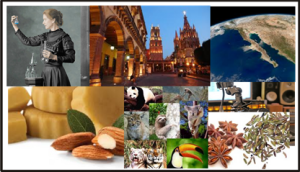 De todo un poco…